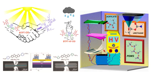 Лаборатория функциональных материалов для органической электроники и фотоники