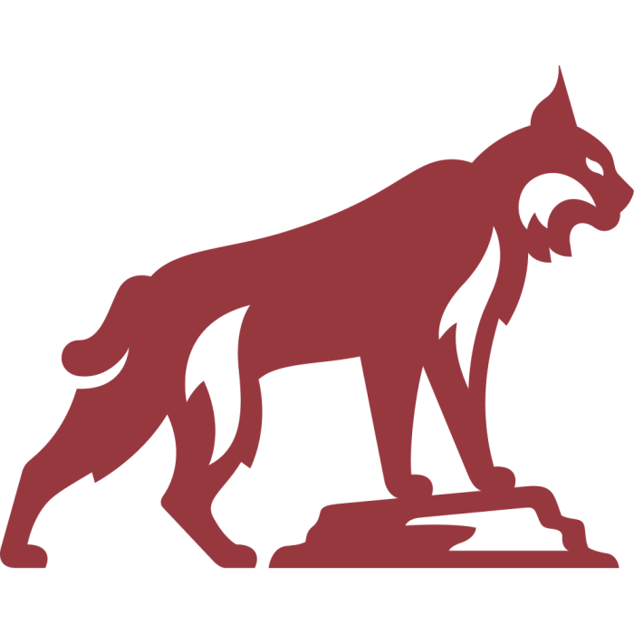 California State University, Chico