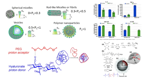 Laboratory of Functional Polymers and Polymeric Materials