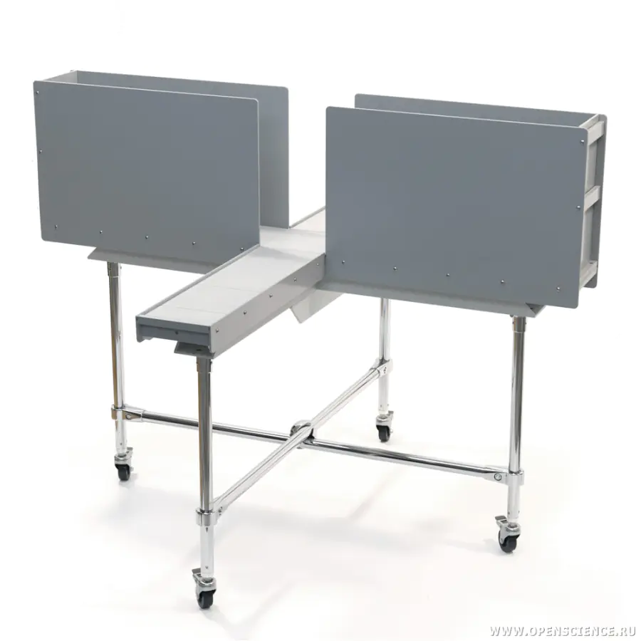 Установка "Приподнятый крестообразный лабиринт"