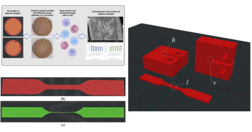 Scientific Research Laboratory "Mechanics of biocompatible materials and devices"