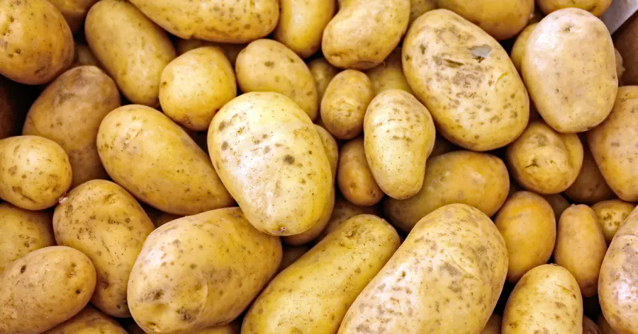 Ученые оценили биохимический состав картошки после радиационного облучения