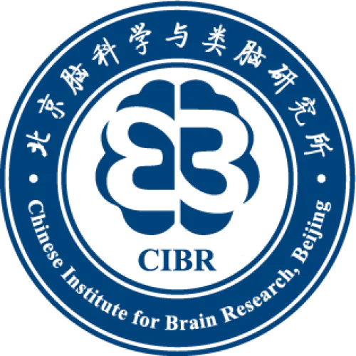 Chinese Institute for Brain Research