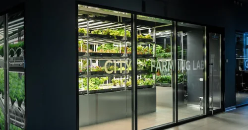 Interdisciplinary Laboratory of City Farming