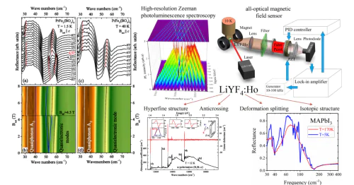 Fourier Spectroscopy Laboratory