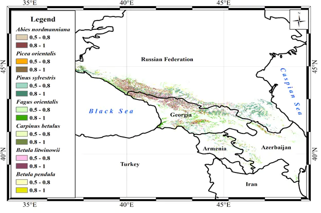 Modeling of the distribution of forests in the Caucasus based on spatial analysis and the theory of ecological niches