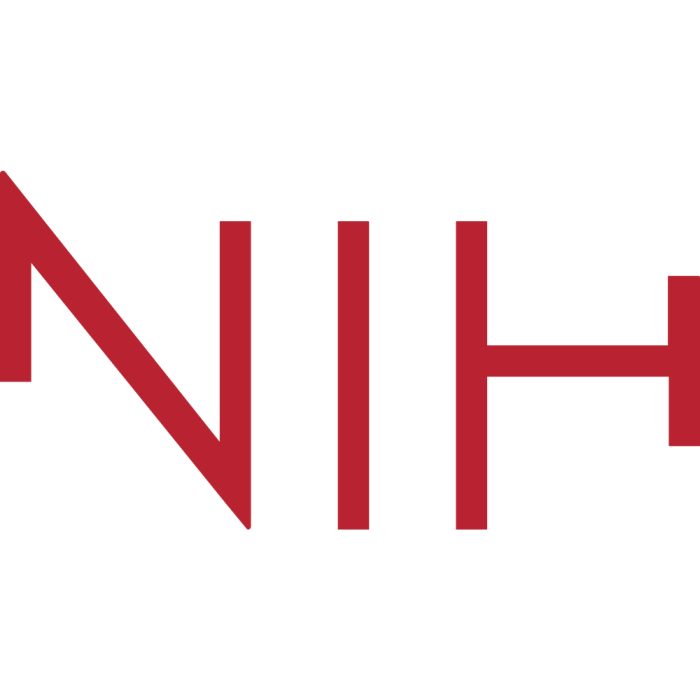 Норвежская школа спортивных наук