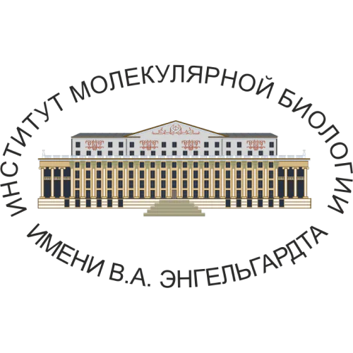 Engelhardt Institute of Molecular Biology of the Russian Academy of Sciences