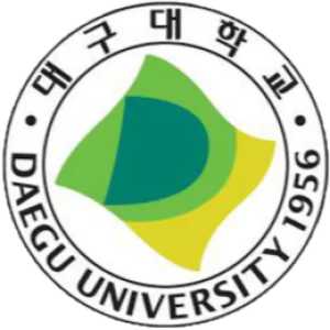 Daegu University