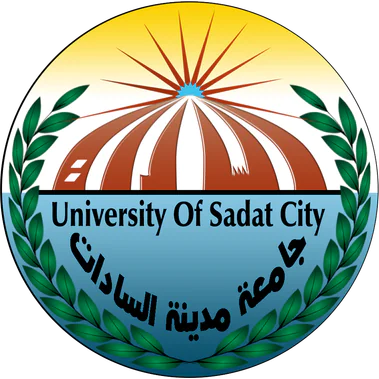 Университет Садат-Сити