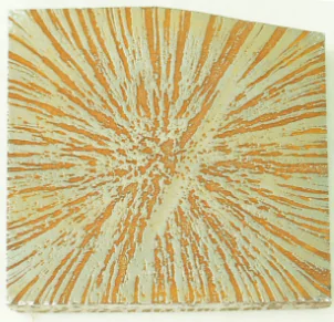 Tribological studies