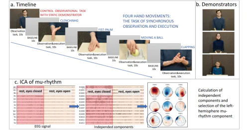 Лаборатория прикладной физиологии высшей нервной деятельности человека