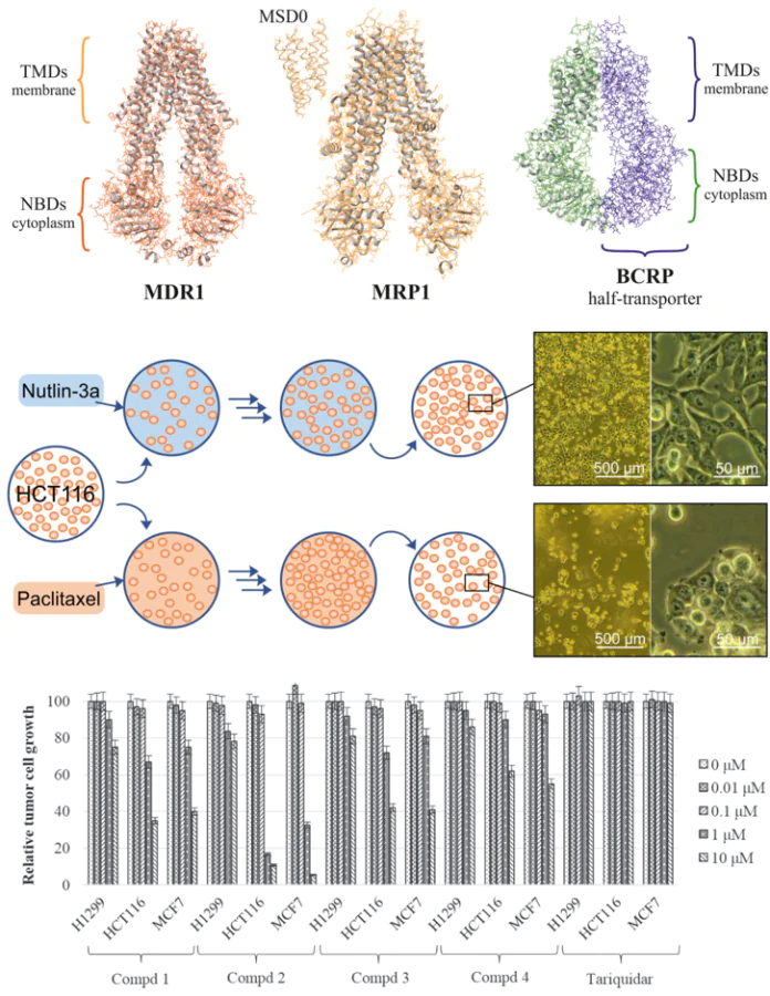 Development of P-glycoprotein inhibitors to overcome tumor chemoresistance