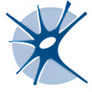 Centro Neurolesi Bonino Pulejo