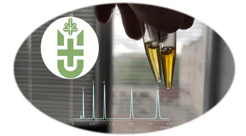 Central Research Laboratory of the Federal State Budgetary Educational Institution of Higher Medical Education of the Ministry of Health of the Russian Federation