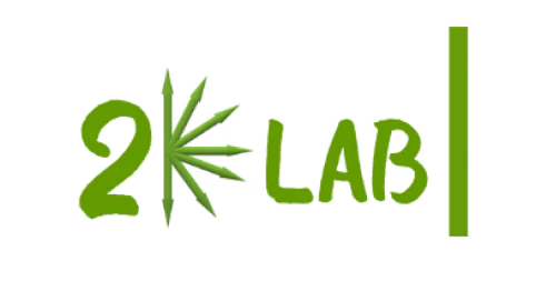 Laboratory of Spin Physics of two-dimensional Materials