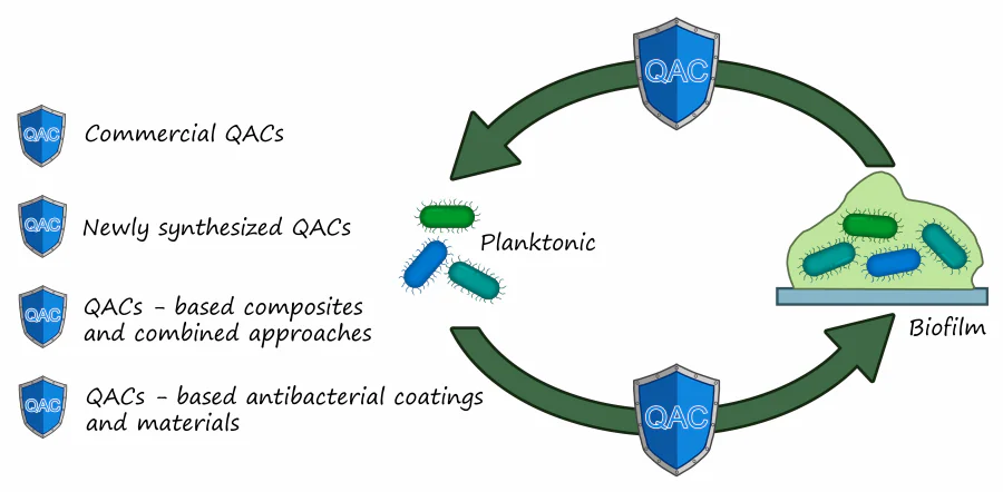 Development of methods for the synthesis of derivatives of quaternary ammonium compounds as new generation biocides