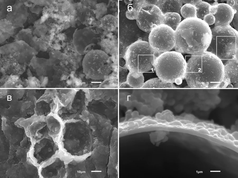 Synthesis and identification of patterns of formation of biocomposite organosilicon materials