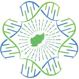Афганский центр эпидемиологических исследований