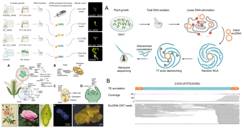 Laboratory of Systemic Genomics and Plant Mobilomics
