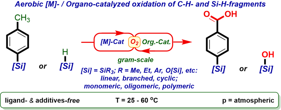 Liquid-phase aerobic metal/organo-catalyzed oxidation