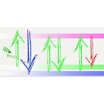 Russian Conference on Raman Scattering (KR-2025)