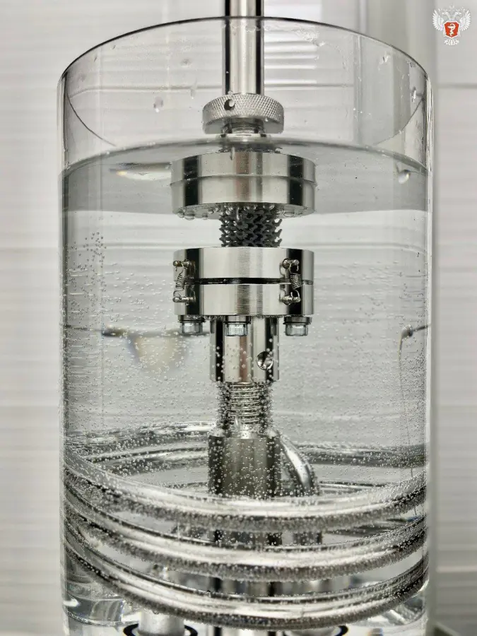 Development of bone-plastic scaffolds based on thrice periodic minimum surfaces