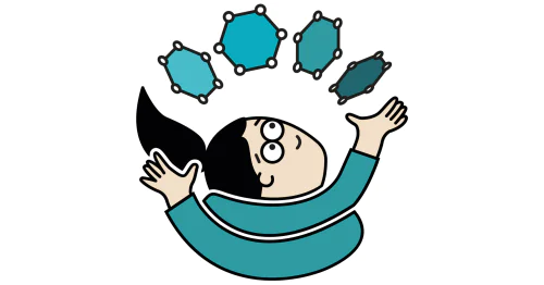 Physics and Mechanics of Carbon Nanomaterials