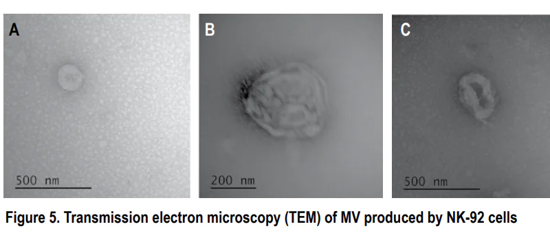 The study of microvesicles of cellular origin as new subjects of intercellular signaling