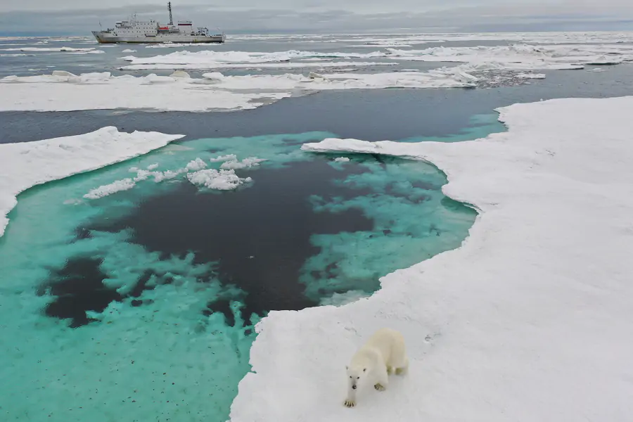 Ученые выяснили, что происходит с водами великих сибирских рек в Северном Ледовитом океане