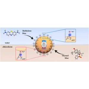 Charged colloidal SiO2 dispersions in water and chloroform: Synthesis ...