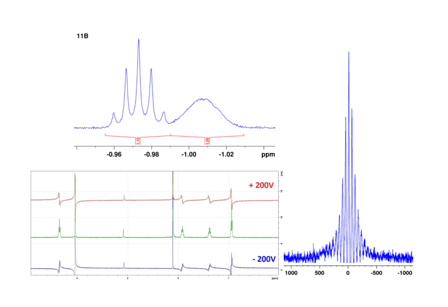 NMR spectroscopy