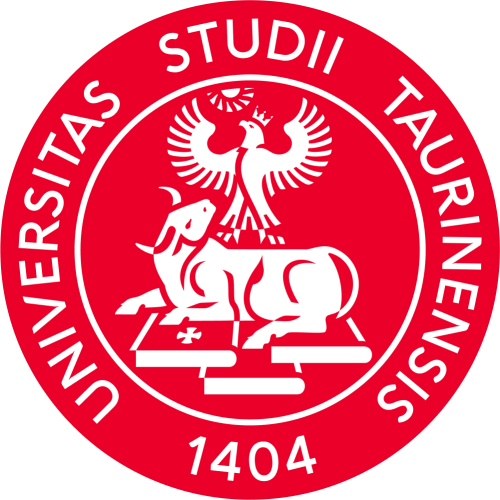 Туринский университет