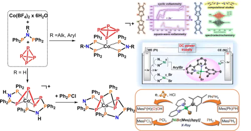Laboratory of Organometallic and Coordination Compounds