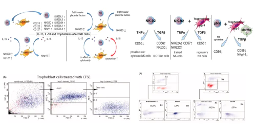 Department of Immunology and Intercellular Interactions