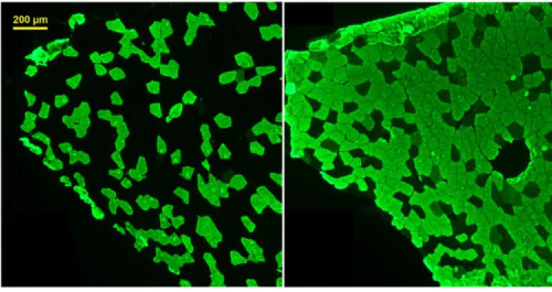 Medical genomics laboratory