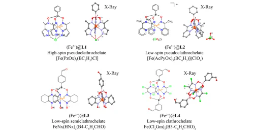 Laboratory of Aliphatic Organosporic Compounds