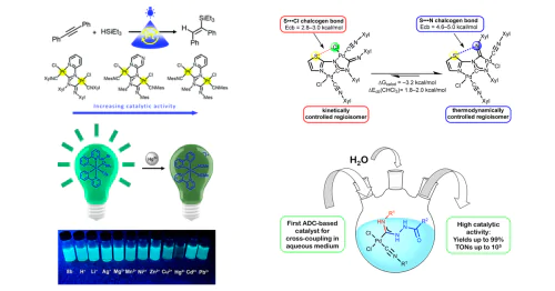 Chemistry of coordinated isocyanides