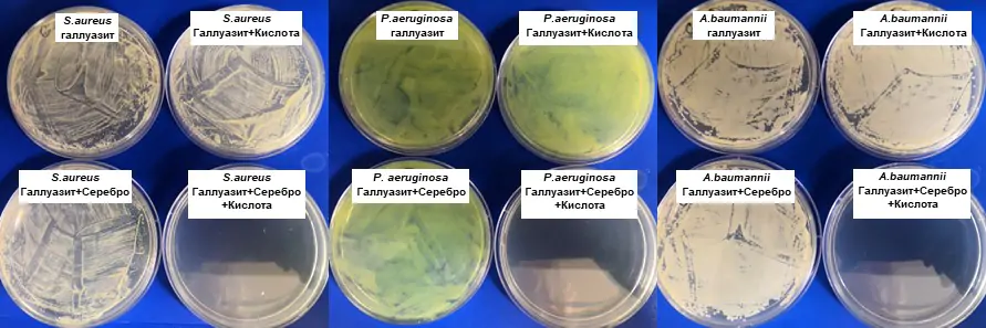 Серебро и кислота помогут бороться с бактериями