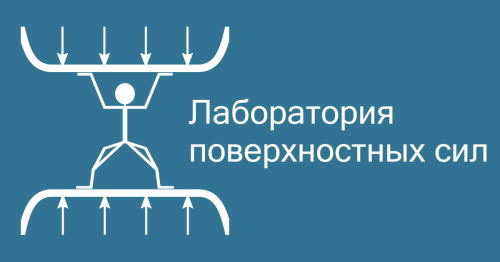 Laboratory of Surface Forces