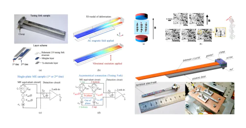 Laboratory of Physics of Oxide Ferroelectrics