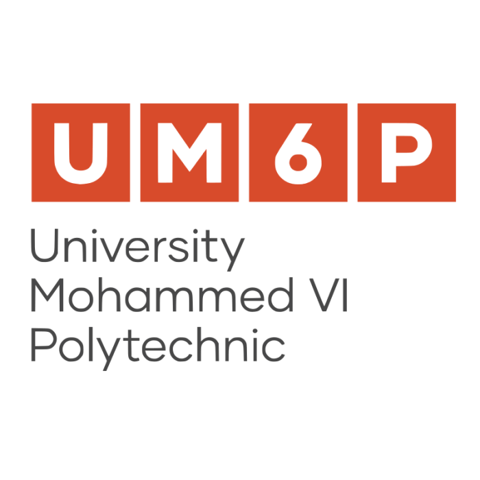 Mohammed VI Polytechnic University