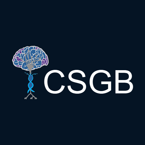 2022 IEEE Ural-Siberian Conference on Computational Technologies in Cognitive Science, Genomics and Biomedicine (CSGB)
