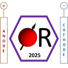 All-Russian Conference named after Academician V.I. Ovcharenko "Organic radicals and organic electrochemistry: fundamental and applied aspects" (2025)