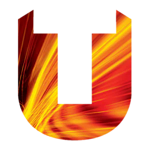 Университет Тиссайда