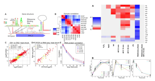 Laboratory of Proteomic analysis