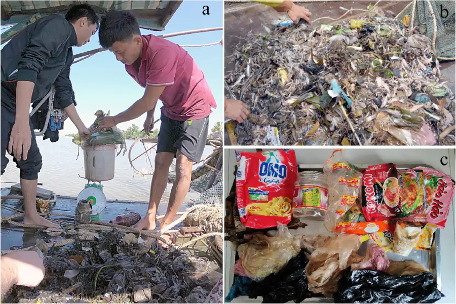 Ученые выяснили особенности пластикового загрязнения во вьетнамском Меконге