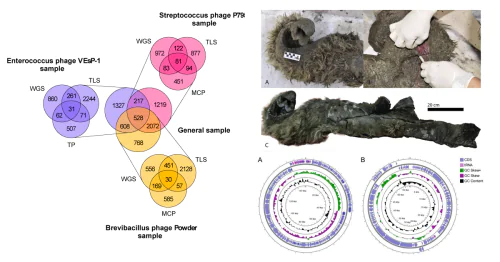 Лаборатория функциональной геномики и протеомики микроорганизмов