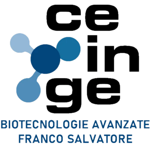 Ceinge Biotecnologie Avanzate Franco Salvatore