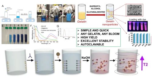 Structural Chemical Modification of Polymers